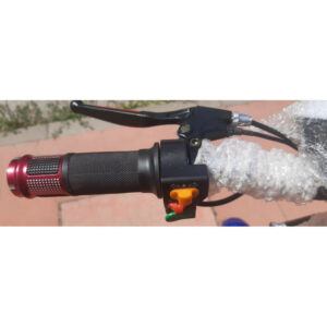 Електрическа триколка със задно предаване